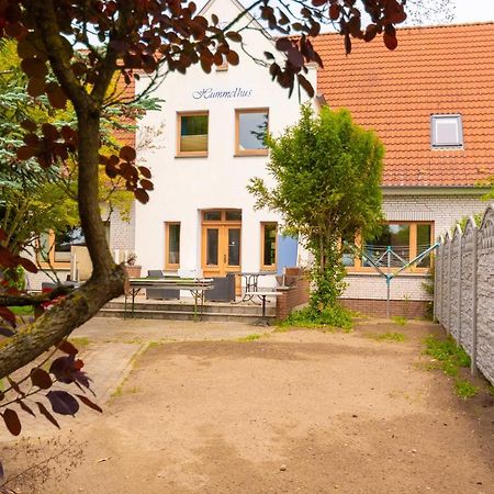 Steinbeck Ostsee Ferienwohnung Hummelhus מראה חיצוני תמונה